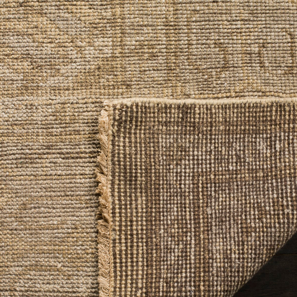 Safavieh Izmir IZM180 Hand Knotted Rug