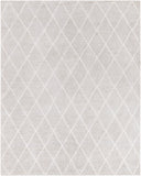 Jaque JAQ-4002 Modern Viscose Rug JAQ4002-810 Light Gray, Ivory 100% Viscose 8' x 10'