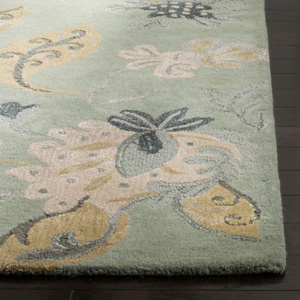 Safavieh Jardin JAR451 Hand Tufted Rug