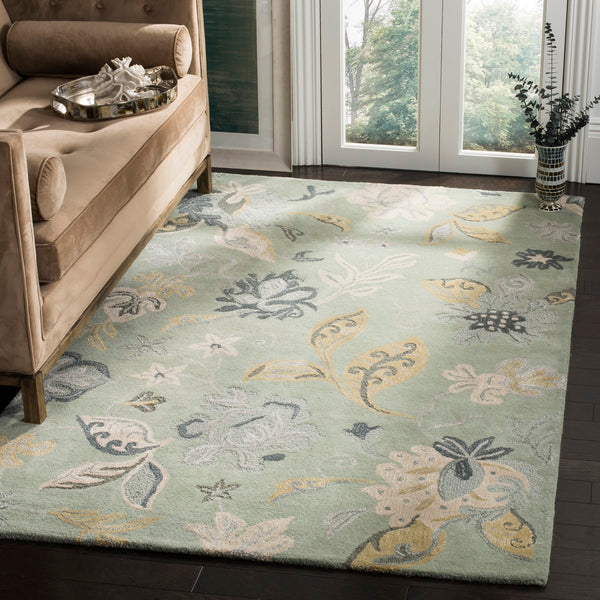 Safavieh Jardin JAR451 Hand Tufted Rug