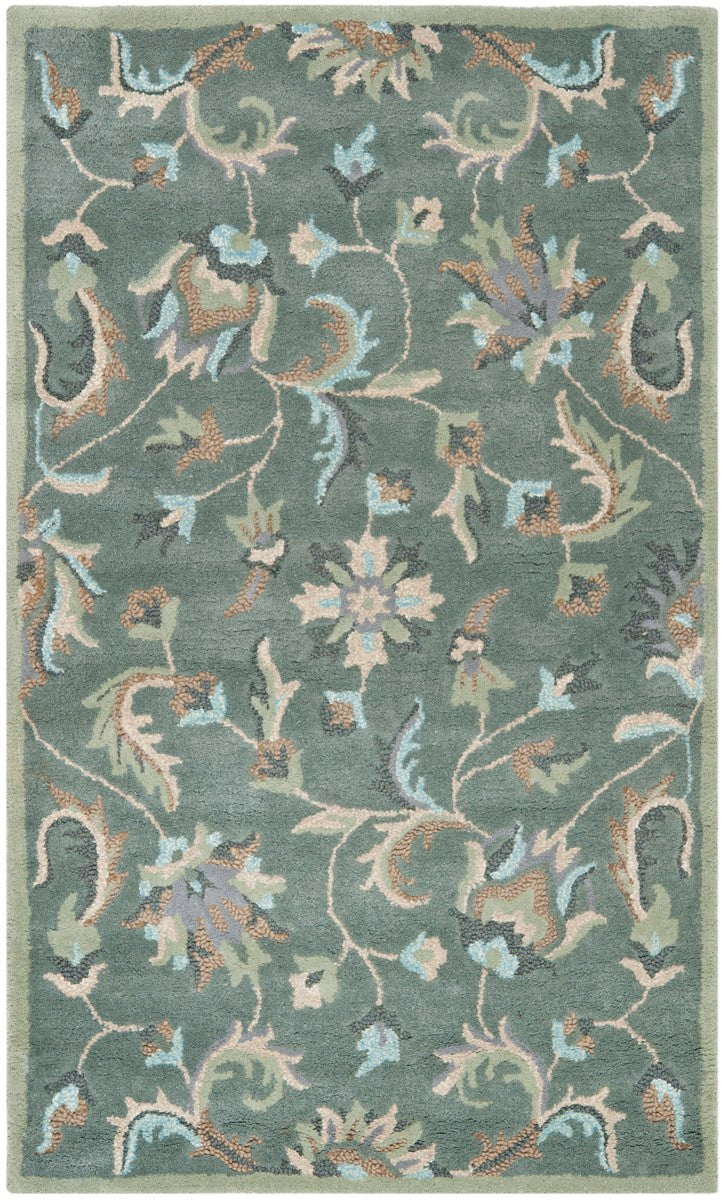 Safavieh Jardin JAR461 Hand Tufted Rug