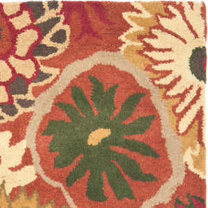 Safavieh Jardin JAR812 Hand Tufted Rug