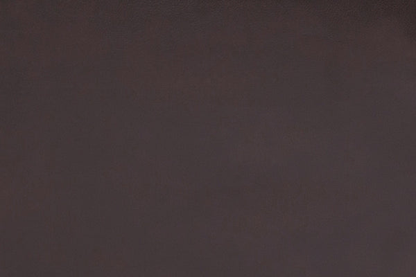 Porter Designs Ramsey Leather-Look Transitional Reclining Sofa Brown 03-112C-01-6013