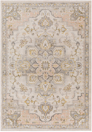 Surya Jamila Traditional JML-2301 Rug JML2301-9212