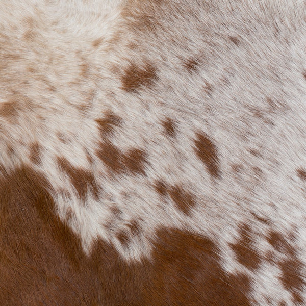 Porter Designs Genoa Cow Hid Leather Sling Modern Accent Chair Brown 02-108-06-430