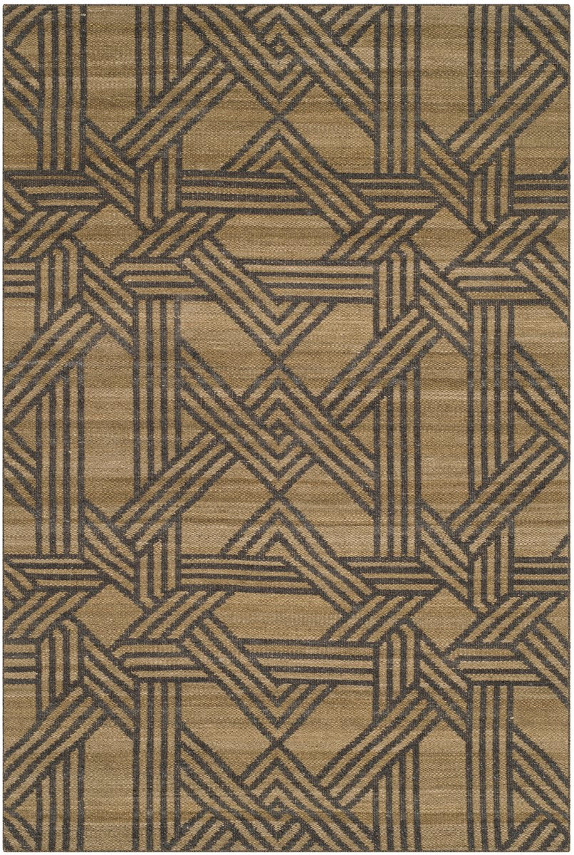 Safavieh Kilim KLM251 Hand Woven Rug