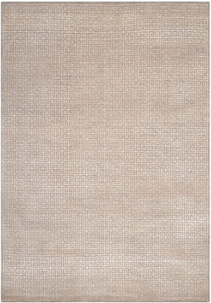 Safavieh Kensington KNS915 Hand Knotted Rug