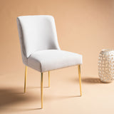 Safavieh Nolita Velvet Dining Chair in Light Grey KNT4086D 889048711396