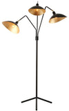 Safavieh Iris Floor Lamp 69.5" Black Gold Metal LIT4361B 889048099579