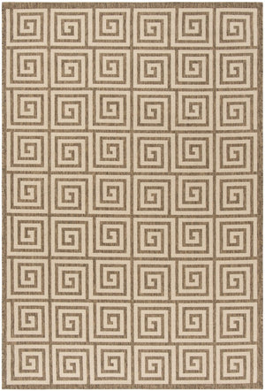 Safavieh Linden 129 PowerLoomed 100% Polypropylene Pile Indoor/ Outdoor Rug LND129C-5