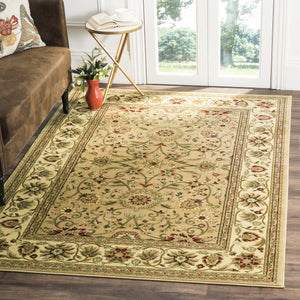 Safavieh Lnh212 Power Loomed Polypropylene Pile Traditional Rug LNH212D-6R