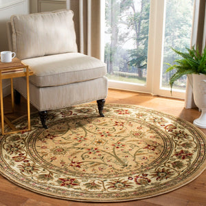 Safavieh Lnh212 Power Loomed Polypropylene Pile Traditional Rug LNH212D-6R