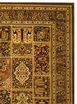 Safavieh Lyndhurst LNH217 Power Loomed Rug