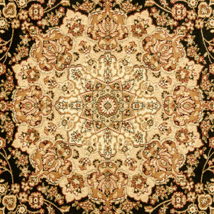 Safavieh Lyndhurst LNH222 Power Loomed Rug