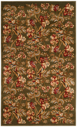 Safavieh Lyndhurst LNH326 Power Loomed Rug