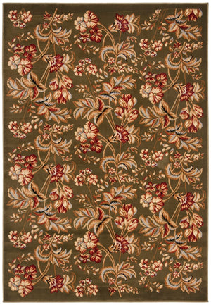 Safavieh Lyndhurst LNH326 Power Loomed Rug