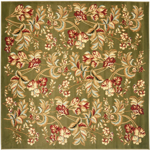 Safavieh Lyndhurst LNH326 Power Loomed Rug