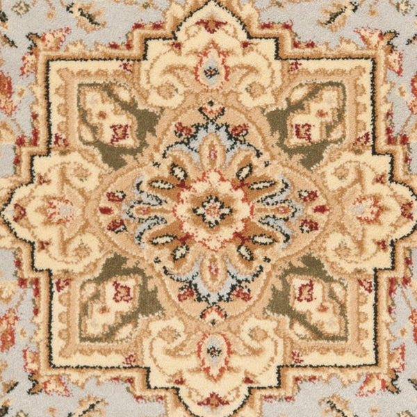 Safavieh Lyndhurst LNH330 Power Loomed Rug