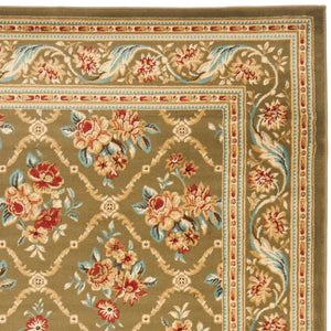 Safavieh Lyndhurst Lnh556 656 Power Loomed Rug