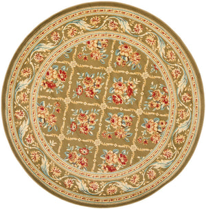 Safavieh Lyndhurst Lnh556 656 Power Loomed Rug