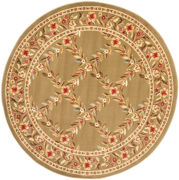 Safavieh Lyndhurst Lnh557 656 Power Loomed Rug