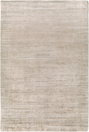 Lucknow LUC-2306 Modern Viscose, Wool Rug LUC2306-69 Taupe, Light Gray 75% Viscose, 25% Wool 6' x 9'