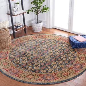 Safavieh Mahal 623 Power Loomed Polypropylene Transitional Rug MAH623K-7SQ