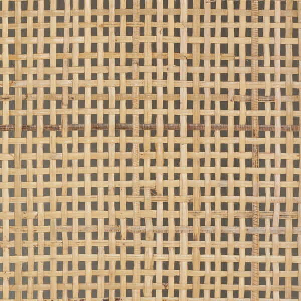 Safavieh Zadie 1 Shelf Rattan Media Stand MED5009B