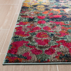 Safavieh Monaco MNC263 Power Loomed Rug