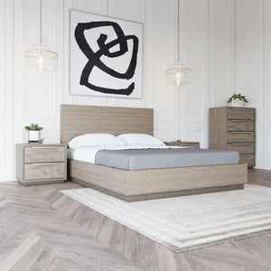 VIG Furniture Modrest Samson - Contemporary Grey and Silver Bed VGLBHAMI-KB207-01