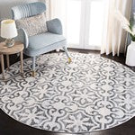 Safavieh Msr0956 Isabella Power Loomed Polypropylene Pile Transitional Rug MSR0956F-9