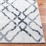 Safavieh Msr0957 Isabella Power Loomed Polypropylene Pile Transitional Rug MSR0957B-9