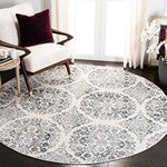 Safavieh Msr0958 Isabella Power Loomed Polypropylene Pile Transitional Rug MSR0958H-9