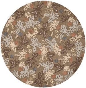 Safavieh Meadow MSR2320 Rug