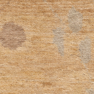 Safavieh Trellis MSR5536 Rug