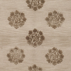 Safavieh Medallions MSR5634 Rug