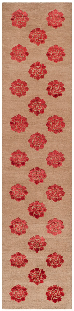 Safavieh Medallions MSR5634 Rug