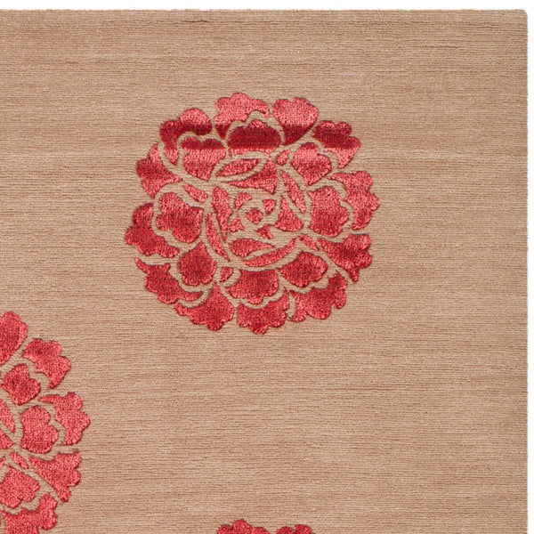 Safavieh Medallions MSR5634 Rug