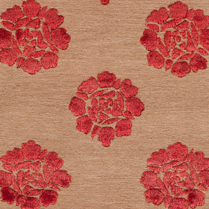 Safavieh Medallions MSR5634 Rug