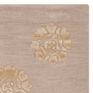 Safavieh Medallions MSR5634 Rug