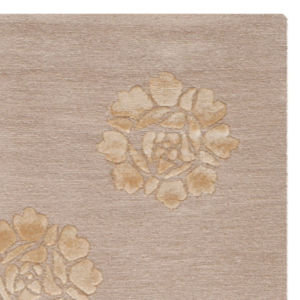 Safavieh Medallions MSR5634 Rug