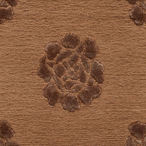 Safavieh Medallions MSR5634 Rug