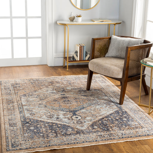 Surya Misterio Traditional MST-2311 Rug MST2311-9125