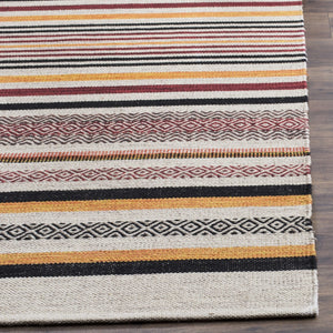 Safavieh Montauk MTK211 Rug