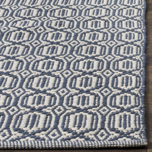Safavieh Montauk MTK333 Hand Woven Rug