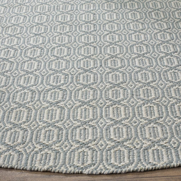 Safavieh Montauk MTK333 Hand Woven Rug