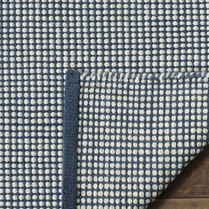 Safavieh Montauk MTK345 Rug