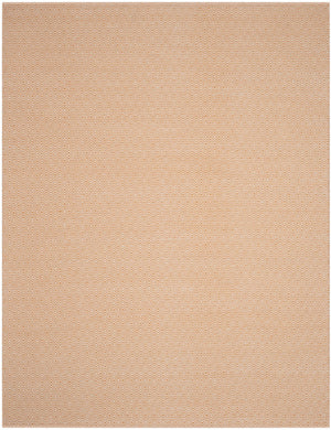 Safavieh Montauk MTK515 Rug