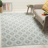 Safavieh Montauk MTK612 Rug