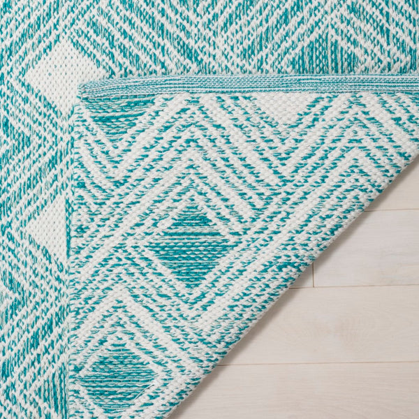 Safavieh Montauk MTK614 Rug